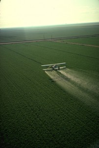 The history of the Green Revolution can sometimes seem like an exclusively Cold War or American story (pictured here, an American cropduster), but Tooze's new project promises to show the German side of global agrarian history