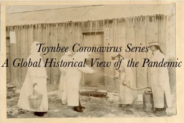 VIDEO—Toynbee Coronavirus Series: Selçuk Esenbel on the pandemic and living with nature